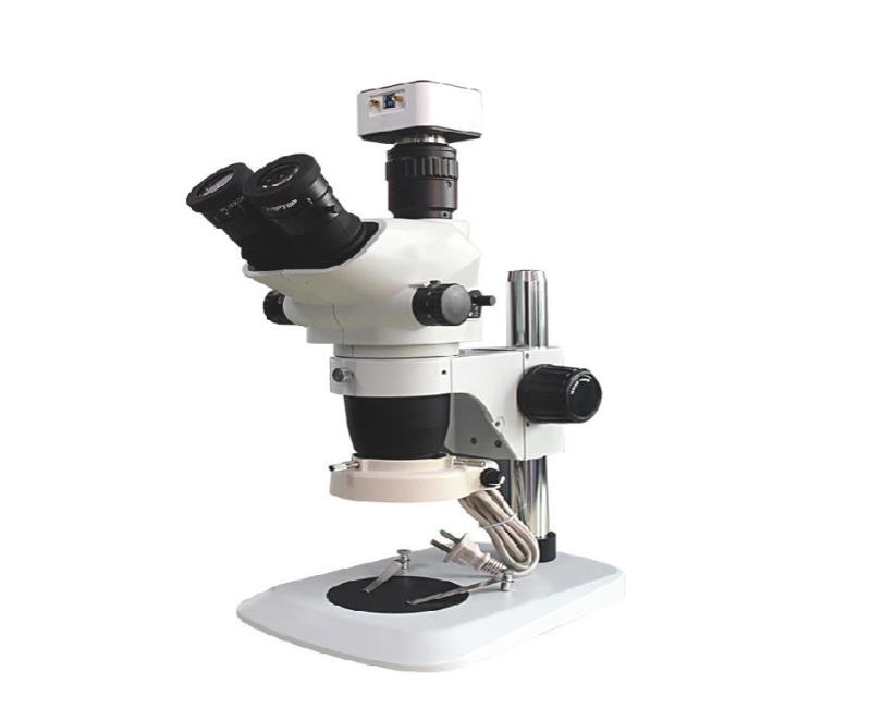 体视显微镜的光学结构及用途